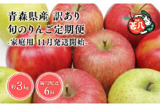 【11月発送開始】隔月配送　定期便６回　訳あり　家庭用　甚八りんご　３kg　【青森県 平川市 マルジンサンアップル】1月 3月 5月 7月 9月 11月 青森 青森県産 平川 りんご リンゴ 林檎 くだもの 果物 フルーツ 
