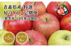 【11月発送開始】隔月配送　定期便６回　特選　甚八りんご　５kg　【青森県 平川市 マルジンサンアップル】1月 3月 5月 7月 9月 11月贈答用 青森 青森県産 平川 りんご リンゴ 林檎 くだもの 果物 フルーツ