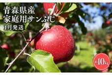 ≪1月発送≫【訳あり】家庭用 サンふじ10㎏【青森県 平川市 丸勝木村商店】平川市産 青森りんご りんご リンゴ 林檎 ふじ 訳あり 家庭 わけあり お取り寄せ 先行予約 果物 くだもの フルーツ 