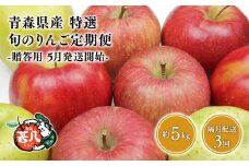 【5月発送開始】隔月配送　定期便3回　特選　甚八りんご　5kg　【青森県 平川市 マルジンサンアップル】1月 3月 5月 7月 9月 11月贈答用 青森 青森県産 平川 りんご リンゴ 林檎 くだもの 果物 フルーツ