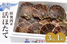 活ほたて 3kg入 1箱 【平内町漁業協同組合】 ホタテ ほたて 帆立 活ホタテ 人気 生ほたて 生ホタテ 刺身 貝 貝柱 殻付き 海鮮 新鮮 ほたて広場 魚介 青森県 平内町 東北 むつ湾 陸奥湾 漁協 BBQ バーベキュー キャンプ F21J-161