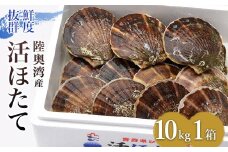 活ほたて 10kg入 1箱 【平内町漁業協同組合】 ホタテ ほたて 帆立 活ホタテ 人気 生ほたて 生ホタテ 刺身 貝 貝柱 殻付き 海鮮 新鮮 ほたて広場 魚介 青森県 平内町 東北 むつ湾 陸奥湾 漁協 BBQ バーベキュー キャンプ F21J-164