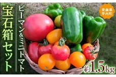 エメラルドピーマンとミニトマトの宝石箱セット 約1.5kg 【レッドファーマー】 トマト とまと 野菜 美味しい 新鮮 甘い 夏野菜 サラダ tomato おいしい 旬 国産 詰め合わせ 旬の野菜 旬野菜 新鮮 お取り寄せ 送料無料 F21J-064