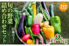 10種以上！旬の野菜詰め合わせセット 約2kg 【収穫型観光農園レッドファーマー】 旬の野菜 旬野菜 新鮮 食品 グルメ 詰め合わせ 冷蔵 ファーマーズマーケット 送料無料 野菜 美味しい 甘い 夏野菜 サラダ おいしい 旬 国産 お取り寄せ F21J-066