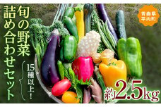 15種以上！旬の野菜詰め合わせセット 約2.5kg 【収穫型観光農園レッドファーマー】旬の野菜 旬野菜 新鮮 食品 グルメ 詰め合わせ 冷蔵 ファーマーズマーケット 送料無料 野菜 美味しい 甘い 夏野菜 サラダ おいしい 旬 国産 お取り寄せ F21J-067