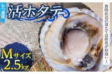 むつ湾で獲れた活ホタテ Mサイズ 約2.5kg【活ほたて本舗】 ホタテ ほたて 帆立 活ホタテ 生ほたて 生ホタテ 刺身 殻付き 海鮮 新鮮 貝 貝柱 魚介 青森 青森県 東北 むつ湾 陸奥湾 BBQ バーベキュー キャンプ F21J-077