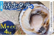 むつ湾で獲れた活ホタテ Mサイズ 約4.0kg【活ほたて本舗】 ホタテ ほたて 帆立 活ホタテ 生ほたて 生ホタテ 刺身 殻付き 海鮮 新鮮 貝 貝柱 魚介 青森 青森県 東北 むつ湾 陸奥湾 海鮮 BBQ バーベキュー キャンプ 4kg F21J-078