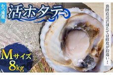むつ湾で獲れた活ホタテ Mサイズ 約8.0kg【活ほたて本舗】 ホタテ ほたて 帆立 活ホタテ 生ほたて 生ホタテ 刺身 殻付き 海鮮 新鮮 貝 貝柱 魚介 青森 青森県 東北 むつ湾 陸奥湾 海鮮 BBQ バーベキュー キャンプ 8kg F21J-080