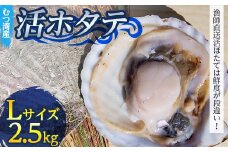 むつ湾で獲れた活ホタテ Lサイズ 約2.5kg【活ほたて本舗】 ホタテ ほたて 帆立 活ホタテ 生ほたて 生ホタテ 刺身 殻付き 海鮮 新鮮 貝 貝柱 魚介 青森 青森県 東北 むつ湾 陸奥湾 海鮮 BBQ バーベキュー キャンプ F21J-082
