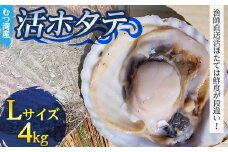 むつ湾で獲れた活ホタテ Lサイズ 約4.0kg【活ほたて本舗】 ホタテ ほたて 帆立 活ホタテ 生ほたて 生ホタテ 刺身 殻付き 海鮮 新鮮 貝 貝柱 魚介 青森 青森県 東北 むつ湾 陸奥湾 海鮮 BBQ バーベキュー キャンプ 4kg F21J-083