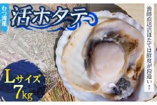 むつ湾で獲れた活ホタテ Lサイズ 約7.0kg【活ほたて本舗】 ホタテ ほたて 帆立 活ホタテ 生ほたて 生ホタテ 刺身 殻付き 海鮮 新鮮 貝 貝柱 魚介 青森 青森県 東北 むつ湾 陸奥湾 海鮮 BBQ バーベキュー キャンプ 7kg F21J-085