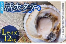 むつ湾で獲れた活ホタテ Lサイズ 約12.0kg【活ほたて本舗】 ホタテ ほたて 帆立 活ホタテ 生ほたて 生ホタテ 刺身 殻付き 海鮮 新鮮 貝 貝柱 魚介 青森 青森県 東北 むつ湾 陸奥湾 海鮮 BBQ バーベキュー キャンプ 12kg F21J-087