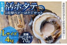 むつ湾で獲れた活ホタテ Lサイズ 約4.0kg ＋ 天日干し帆立っ子 70gセット【活ほたて本舗】 ホタテ ほたて 帆立 活ホタテ 生ほたて 生ホタテ 刺身 殻付き 海鮮 新鮮 貝 貝柱 天日干し ベビーホタテ おつまみ 酒の肴 魚介 青森 青森県 東北 むつ湾 陸奥湾 BBQ バーベキュー キャンプ 4kg F21J-096
