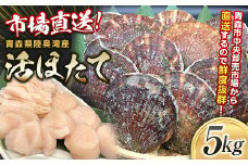【動画有り】市場直送 旬の活ほたて 5kg（2.5kg×2箱） 【あおもり食品】 活ホタテ ホタテ ほたて 帆立  生ほたて 生ホタテ 刺身 殻付き 貝付き 貝 貝柱 魚介 海鮮 新鮮 青森 青森県 東北 陸奥湾 むつ湾 BBQ バーベキュー キャンプ F21J-114