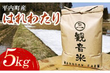 100年続く米農家 新米 特 A はれわたり 5kg （令和6年産）【マルサンファーム】 白米 精米 米 お米 おこめ コメ 東北 青森県 平内町 F21J-126