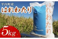 100年続く米農家 新米 特 A はれわたり 5kg （令和7年産）【マルサンファーム】 白米 精米 米 お米 おこめ コメ 東北 青森県 平内町 F21J-126