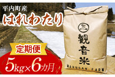 ＜定期便＞ 100年続く米農家 新米 特 A はれわたり 5kg×6ヶ月連続（令和6年産） 【マルサンファーム】 白米 精米 米 お米 おこめ コメ 東北 青森県 平内町 F21J-130