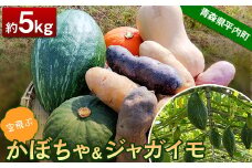 空飛ぶかぼちゃとジャガイモのセット 約5kg 【レッドファーマー】 カボチャ 南瓜 旬の野菜 旬野菜 新鮮 野菜 お取り寄せ 送料無料 新じゃが じゃがいも 芋 いも ポテト おいしい 旬 国産 詰め合わせ 美味しい 甘い 夏野菜 サラダ F21J-139