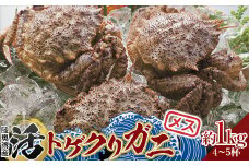 青森県 陸奥湾産 活トゲクリガニ(メス) 約1kg (4～5杯) 【琉宝丸】 漁師直送 かに カニ 蟹 魚介 青森 青森県 平内町 東北 むつ湾 F21J-178
