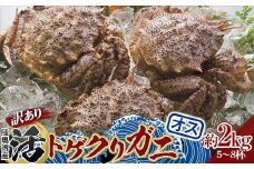 《訳あり》青森県 陸奥湾産 活トゲクリガニ(オス) 約2kg (5～8杯) 【琉宝丸】 漁師直送 かに カニ 蟹 魚介 青森 青森県 平内町 東北 むつ湾 F21J-179