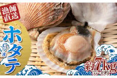 漁師直送 青森県 むつ湾 ホタテ(2年貝) 約7kg (35～49枚) 【龍運丸 水産】 ホタテ ほたて 帆立 活ホタテ 人気 生ほたて 生ホタテ 刺身 貝 貝柱 殻付き 海鮮 新鮮 ほたて広場 魚介 青森県 平内町 東北 むつ湾 陸奥湾 漁協 BBQ バーベキュー キャンプ F21J-183