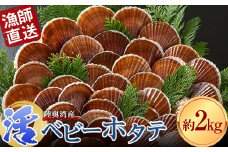 《期間限定》 漁師直送 活ベビーホタテ (半成貝) 約2kg 【白砂活貝組 琉宝丸】 ホタテ ほたて 帆立 活ホタテ 生ほたて 生ホタテ 刺身 ベビーホタテ 半成貝 海鮮 新鮮 貝 貝柱 殻付き 魚介 青森 青森県 東北 むつ湾 陸奥湾 BBQ バーベキュー キャンプ F21J-187
