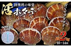 【先行予約】甘くてプリプリ！ 陸奥湾の味覚♪ 活ホタテ 約2kg (10～14枚)【太平丸】 活ホタテ ホタテ ほたて 生ほたて 帆立 陸奥湾 むつ湾 殻付き 貝付き 貝 貝柱 魚介 青森 青森県 東北 海鮮 新鮮 BBQ バーベキュー キャンプ F21J-194