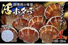 【先行予約】甘くてプリプリ！ 陸奥湾の味覚♪ 活ホタテ 約4kg (20～28枚) 【太平丸】 活ホタテ ホタテ ほたて 生ほたて 帆立 陸奥湾 むつ湾 殻付き 貝付き 貝 貝柱 魚介 青森 青森県 東北 海鮮 新鮮 BBQ バーベキュー キャンプ F21J-195