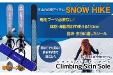 【ブルーモリス】冬山の必須アイテム スノーハイク＆ケースセット（歩きやすさで選ぶなら Climbing Skin Sole）雪 スキー スキー場 スキー板 Bluemoris F21J-197
