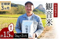 ＜定期便＞ 100年続く米農家 特別栽培米～観音米～ 5kg×3ヶ月連続 （令和6年産） 【マルサンファーム】 白米 精米 米 お米 おこめ コメ 東北 青森県 平内町 F21J-203
