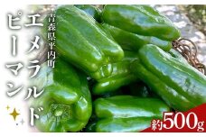 エメラルドピーマン 約500g 【レッドファーマー】 ピーマン 野菜 美味しい 新鮮 甘い 夏野菜 サラダ おいしい 旬 国産 旬の野菜 旬野菜 新鮮 お取り寄せ 送料無料 F21J-232