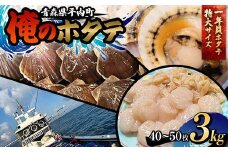 「俺のホタテ」 1年貝ホタテ特大サイズ 3kg ホタテ ほたて 帆立 活ホタテ 貝柱 殻付き 魚介 魚貝 魚貝類 青森 青森県 東北 平内 むつ湾 F21J-244