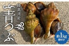 陸奥湾産 青つぶ 殻付き 1kg詰め 【飛佳丸】 活 青つぶ貝 ツブ つぶ つぶ貝 お刺身 つぶ刺し 刺身 焼きつぶ おつまみ 高級食材 魚介 海鮮 青森県 平内町 東北 むつ湾 F21J-263