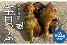 陸奥湾産 青つぶ 殻付き 2kg詰め 【飛佳丸】 活 青つぶ貝 ツブ つぶ つぶ貝 お刺身 つぶ刺し 刺身 焼きつぶ おつまみ 高級食材 魚介 海鮮 青森県 平内町 東北 むつ湾 F21J-264