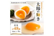 蓬田村産のたまごセット「太陽の輝き」白玉　48個(6個入り×8P)【1593015】