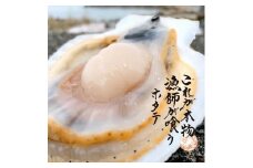これが本物！漁師が喰うホタテ5kg（約85～100枚）　ヘラ付【魚介類 水産 食品 人気 おすすめ 送料無料】