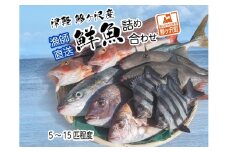 鯵ヶ沢産鮮魚詰め合わせ5～15尾程度【11月下旬～６月発送】※東北・関東限定