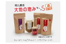 ドライフルーツ 大地の恵み セット S 風丸農場 ドライアップル りんごジャム カレールー 干しプルーン / 干し柿 詰め合わせ りんご 干しリンゴ アップル ジャム ドライ プルーン 柿 カレー 無添加 フルーツ 果物 青森 青森県