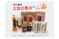 ドライフルーツ 大地の恵み セット L 風丸農場 ドライアップル ドライ フルーツ りんごジャム カレールー りんごシロップ ジャム 詰め合わせ りんご 干しリンゴ アップル ブルーベリー ラズベリー プルーン 柿 カレー シロップ 無添加 果物 青森