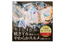 生干しイカと焼きイカ真空パック、やわらかスルメセット
