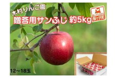 りんご 青森 サンふじ リンゴ 約 5kg (12～18玉) 青森県 鰺ヶ沢町産 木村りんご園 フルーツ 果物 果物類 白神山地 林檎 サンフジ ふじ ※オンライン決済限定