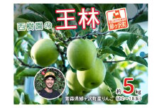 りんご 青森 王林 リンゴ 約 5kg (12～18玉) 青森県 鰺ヶ沢町産 西樹園 フルーツ 果物 果物類 白神山地 林檎