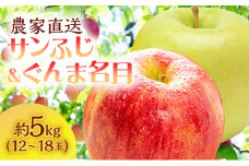 りんご 青森 サンふじ ぐんま名月 約 5kg (12～18玉) リンゴ 詰め合わせ セット サイキチ農園 食べ比べ 青森県 鰺ヶ沢町産 フルーツ 果物 白神山地 果物類 林檎 サンフジ ふじ