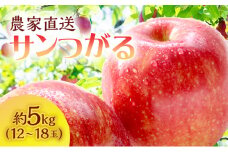 【クール便でお届け】りんご 青森 サンつがる 約 5kg (12～18玉) リンゴ サイキチ農園 青森県 鰺ヶ沢町産 フルーツ 果物 贈答用 贈答 ギフト 白神山地 果物類 林檎