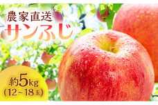 りんご 青森 サンふじ 約 5kg (12～18玉) リンゴ サイキチ農園 青森県 鰺ヶ沢町産 フルーツ 果物 贈答用 贈答 ギフト 白神山地 果物類 林檎 サンフジ ふじ
