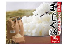 新米 定期便 6ヶ月 令和7年産 まっしぐら 白米 10kg (5kg×2袋) 米 精米 こめ お米 おこめ コメ ご飯 ごはん 令和7年 H.GREENWORK 3回 お楽しみ 青森 青森県 鯵ヶ沢町 