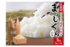 新米 定期便 6ヶ月 令和7年産 まっしぐら 白米 5kg 1袋 精米 こめ お米 おこめ コメ ご飯 ごはん 令和7年 H.GREENWORK 6回 半年 お楽しみ 青森 青森県 鯵ヶ沢町 