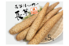 長谷川さんが作った長芋（約5kg）