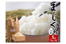 新米 令和7年産 まっしぐら 白米 5kg 1袋 米 精米 こめ お米 おこめ コメ ご飯 ごはん 令和7年 H.GREENWORK 青森 青森県 鯵ヶ沢町 