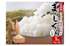 新米 定期便 3ヶ月 令和7年産 まっしぐら 白米 5kg 1袋 米 精米 こめ お米 おこめ コメ ご飯 ごはん 令和7年 H.GREENWORK 6回 半年 お楽しみ 青森 青森県 鯵ヶ沢町 